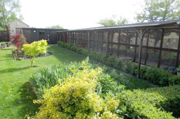 Cress Green Cattery Chalets