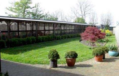 Cress Green Cattery Cat Chalets